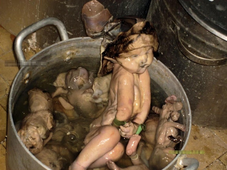 baby-soup2.jpeg