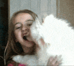 db057e71a96c8762b3f44fb70197429f.gif