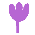 www.lilach.org.il