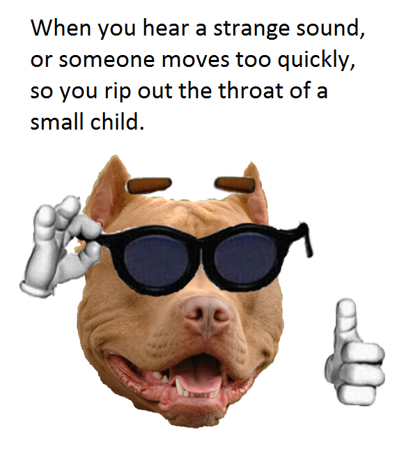 Pitbull | Picardía | Know Your Meme