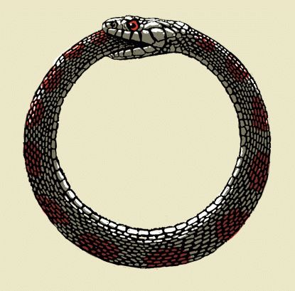 bd4af18e7c2a8f66714195d4c2fdc764--ouroboros-tattoo-ideas.jpg