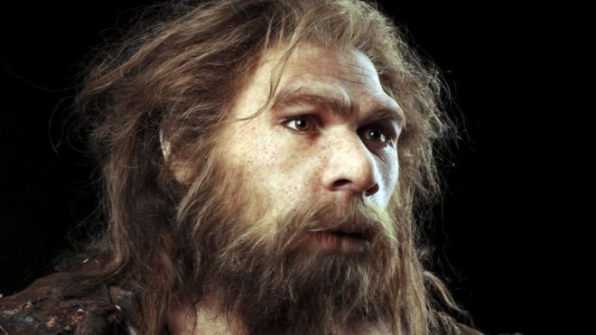 88317142_c0263775-neanderthal_model-spl.jpg