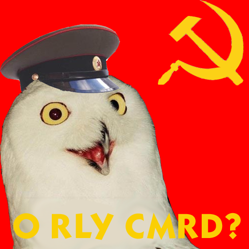 o_rly_cmrd__by_turnip89.png