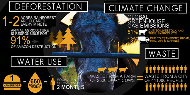 Cowspiracy-animal-factory-FACTS.jpg