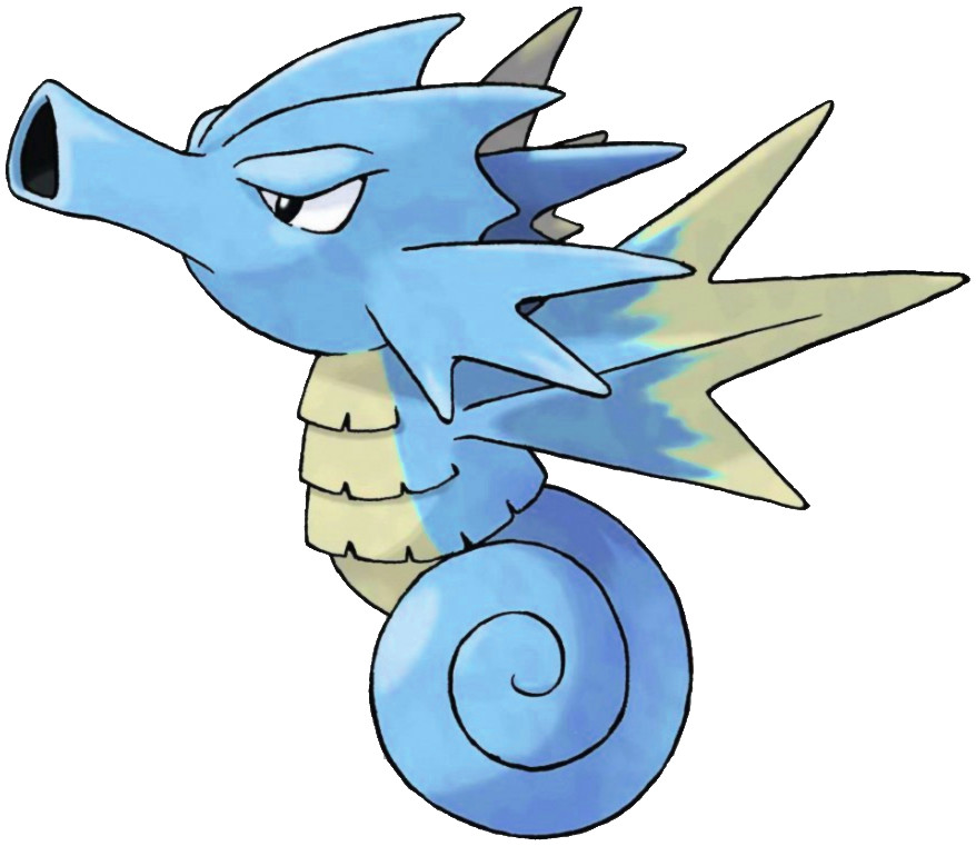 seadra.jpg