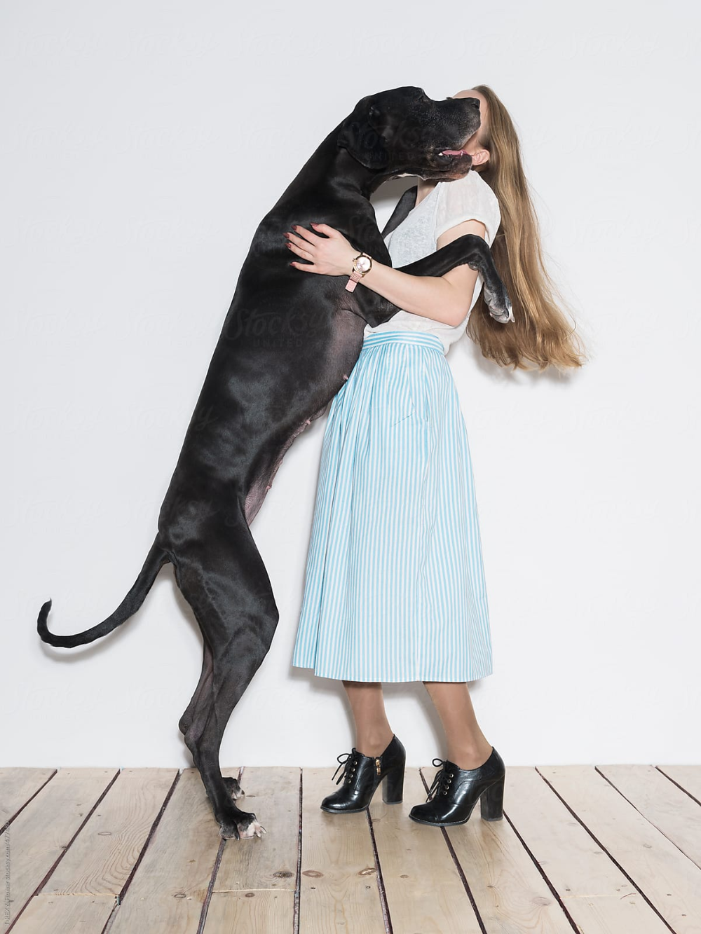 Woman And Her Big Dog by Stocksy Contributor Danil Nevsky | Big dogs,  Dogs, Women