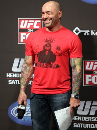ufc-on-fox-mixed-martial-arts-2-310x415.jpg