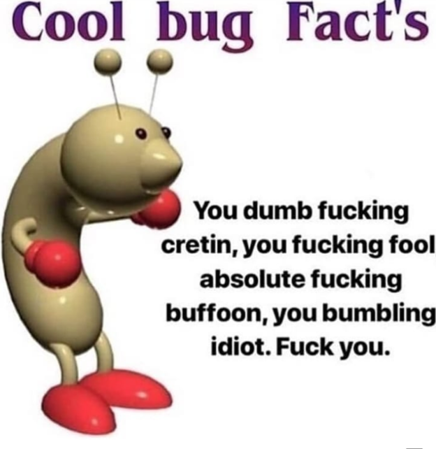 ff5.png