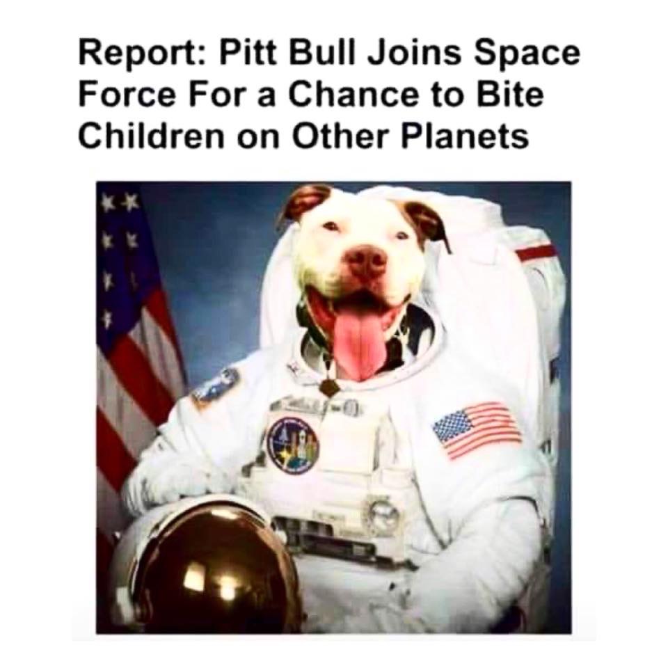 for a chance to bite children on other planets | Dogs | Know Your Meme