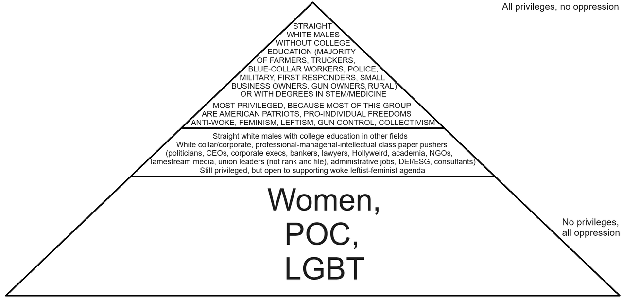 How the intersectionalists think the world works