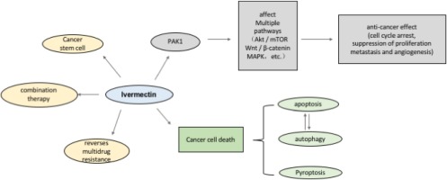 www.sciencedirect.com