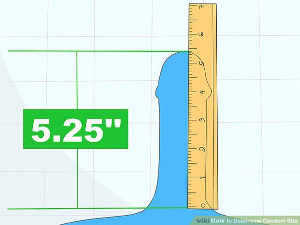 When measuring penis length, where do you measure from? - Quora