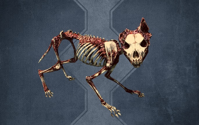 SR-menu-Bone_Wolf.jpg