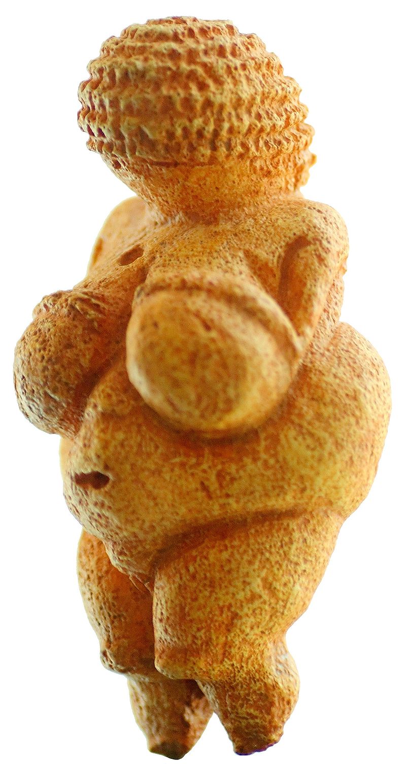 800px-Venus_von_Willendorf_01.jpg