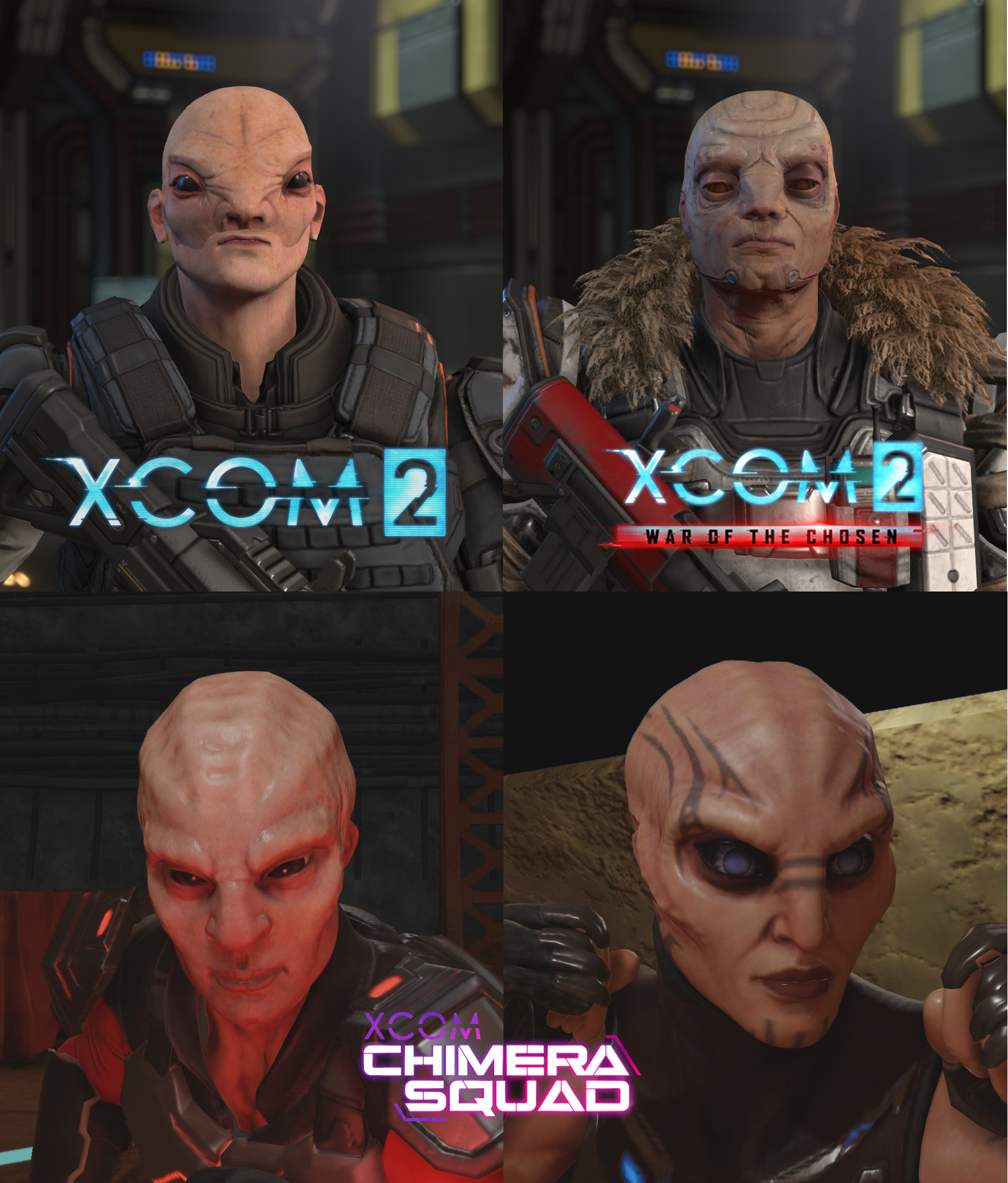 v4h8oq8z8yx41.png