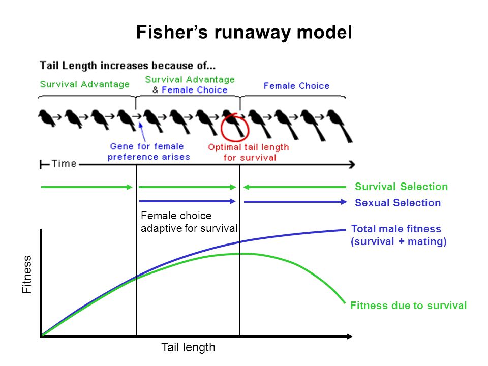 slide_29.jpg