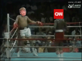 Donald-Trump-CNN-punching-dodges.gif