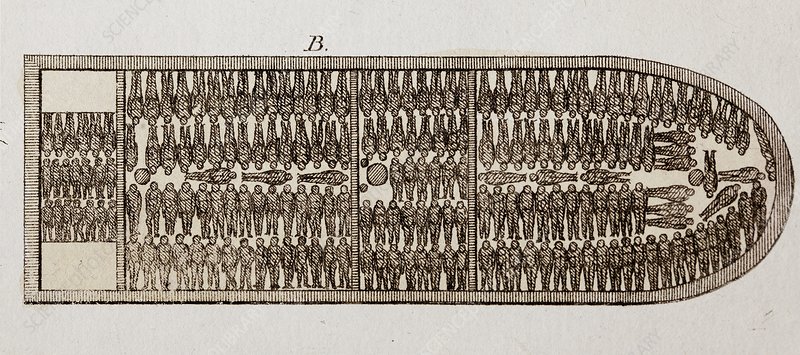 C0289551-Slave_ship_diagram,_19th_century.jpg