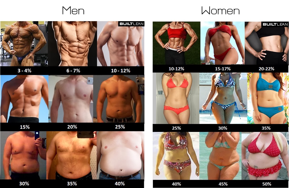 body-fat-percentage-men-women.jpg