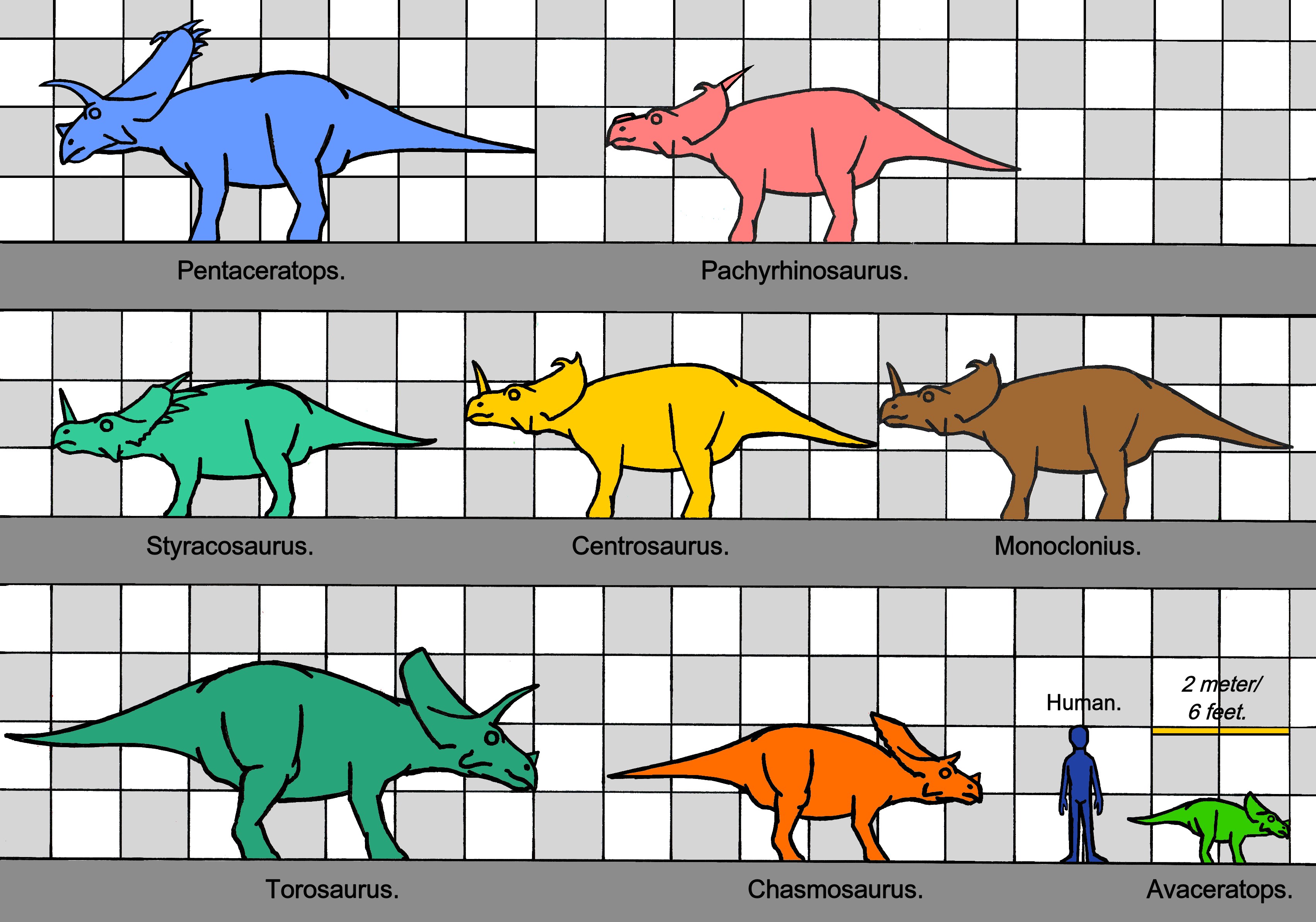 Ceratopsid_sizes_0587_-_8.jpg