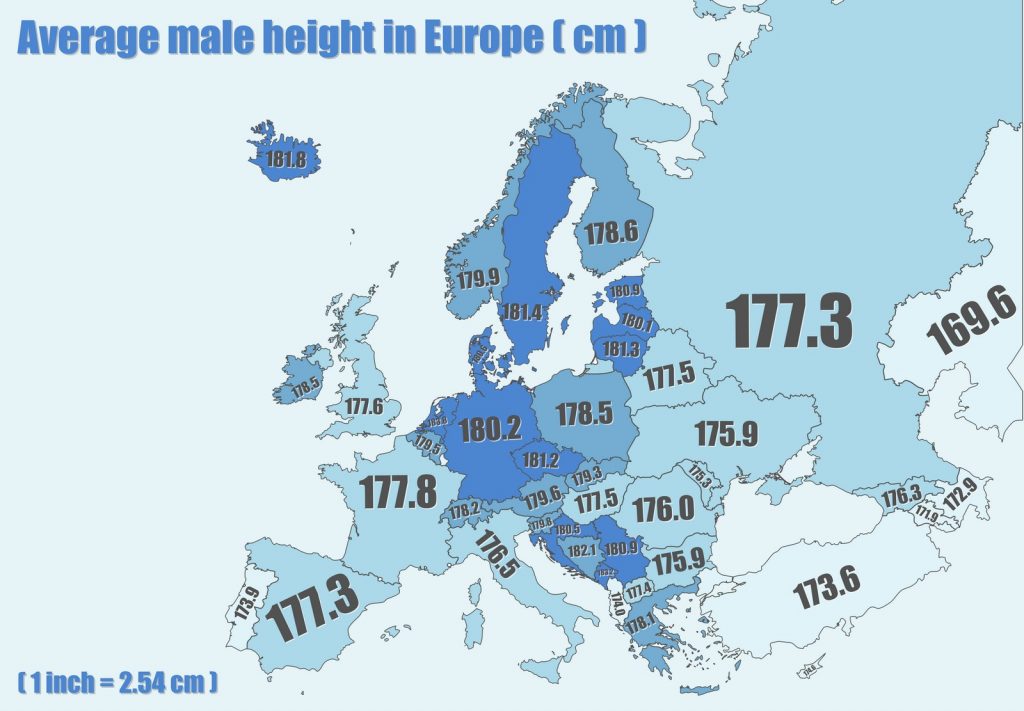 Height-1024x711.jpg