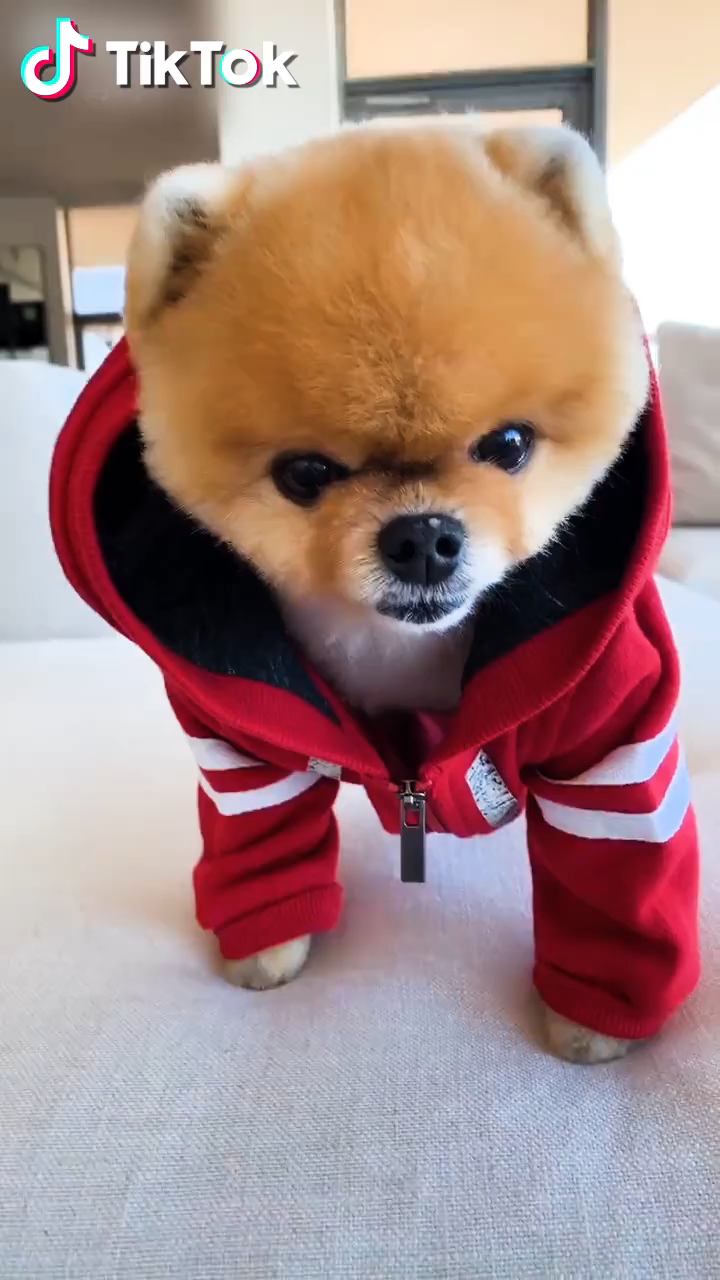 c5e11b03213ed5661b0045197093a18e.png