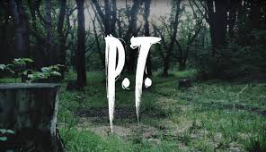 Image result for p.t