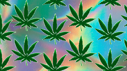 Marijuana Pot GIF - Find & Share on GIPHY