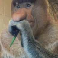3463