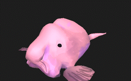 fbust95ggt261.gif