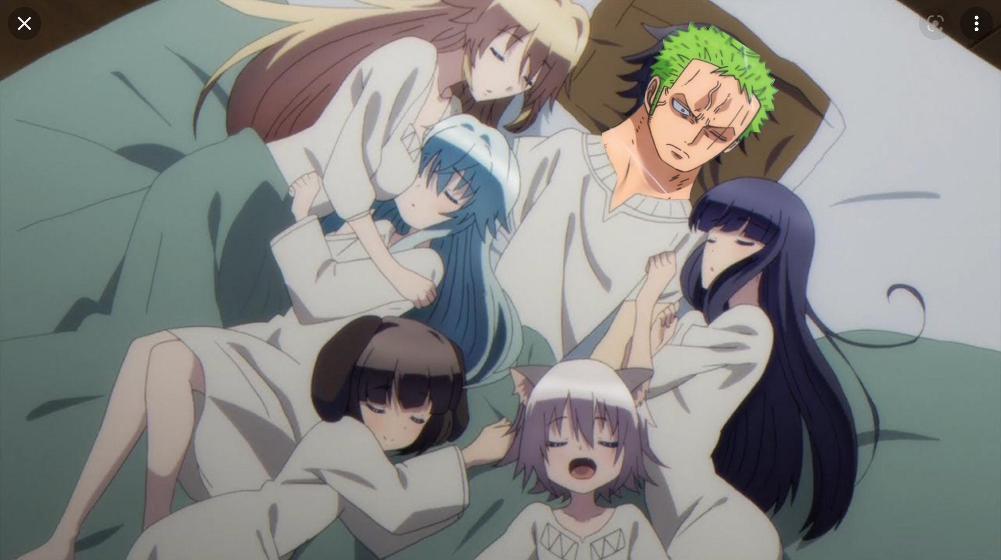 Zoro is lost in an Harem anime : r/ZoroIsLost