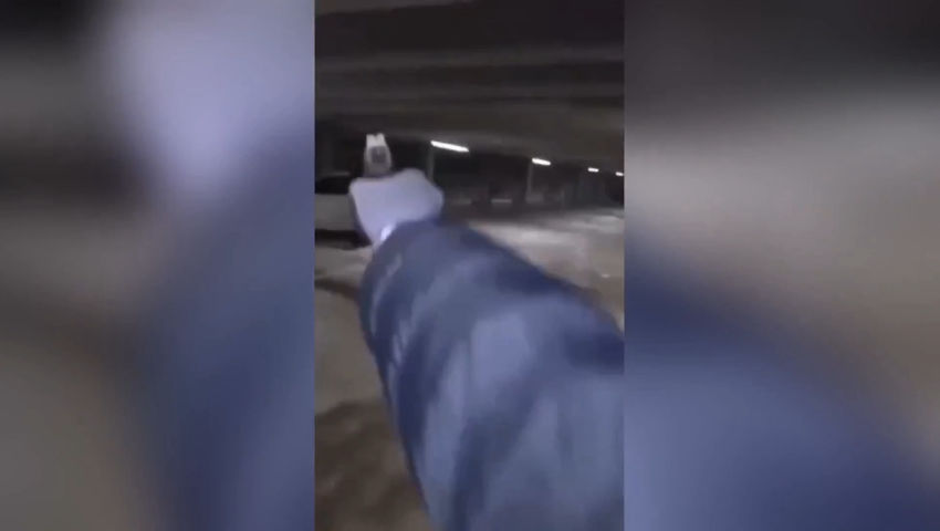 bestgore.fun