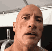icegif-847.gif