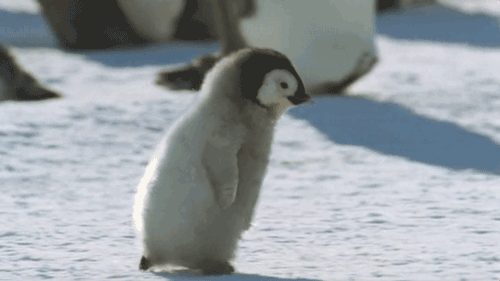 d223dfb077857c48ba50db653422181d.gif