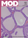 www.sciencedirect.com