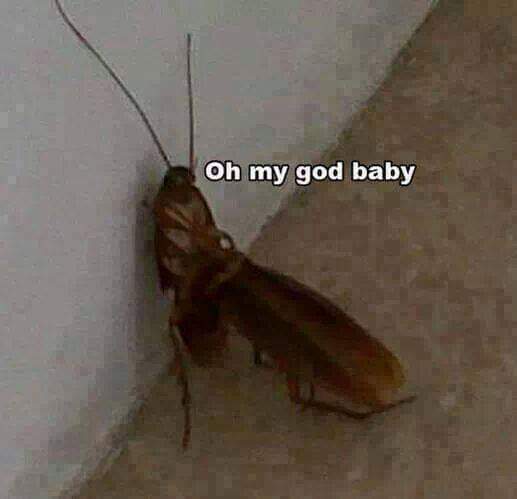ESkHwRfUUAca8au.jpg