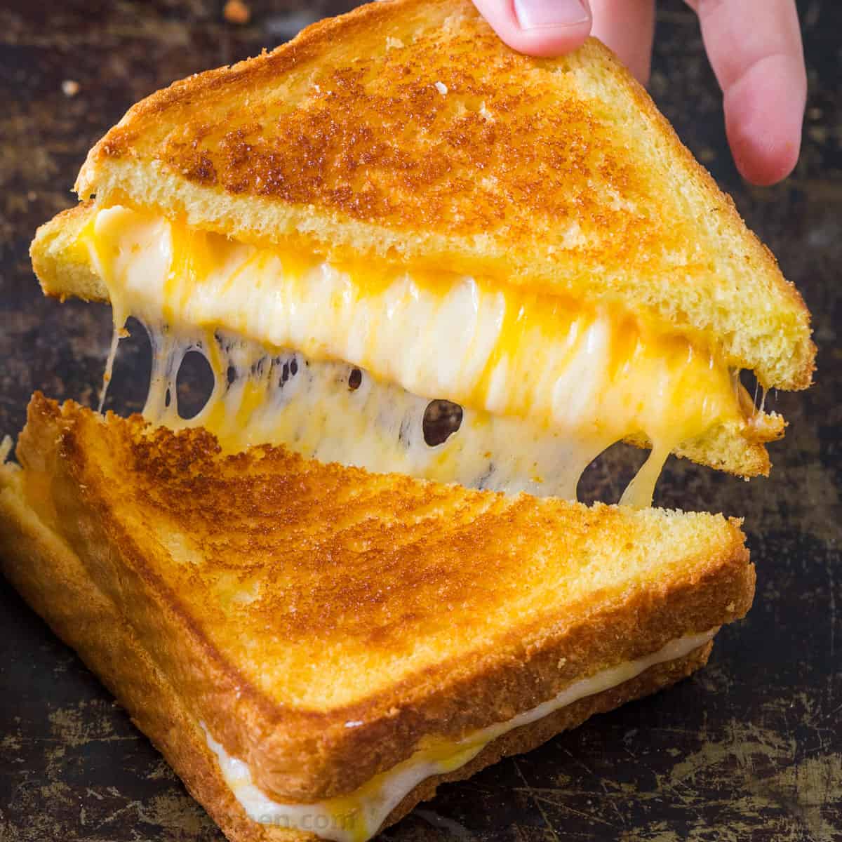 Grilled-Cheese-Sandwich-SQ.jpg
