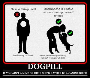 300px-Dogpillmeme.jpg
