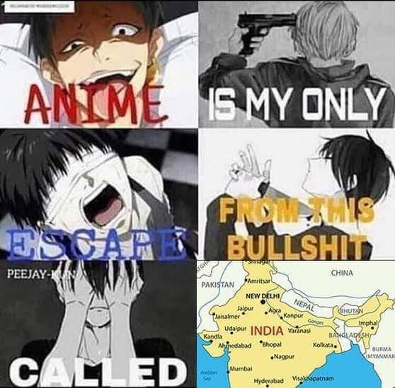 1aa.jpg