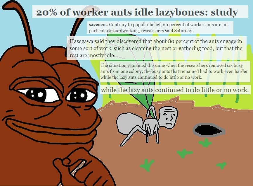 1654115780733.jpg
