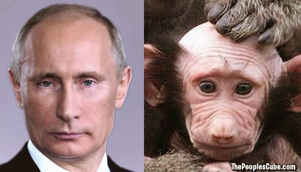 Putin-And-A-Baby-Baboon.jpg