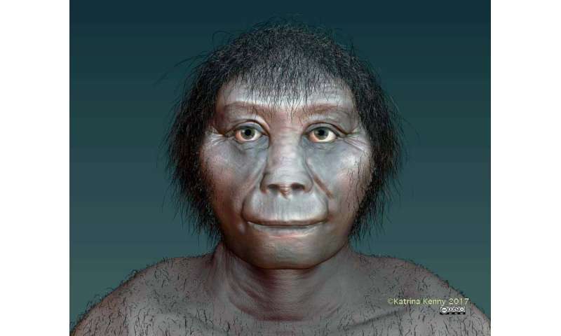 Origins of Indonesian hobbits finally revealed