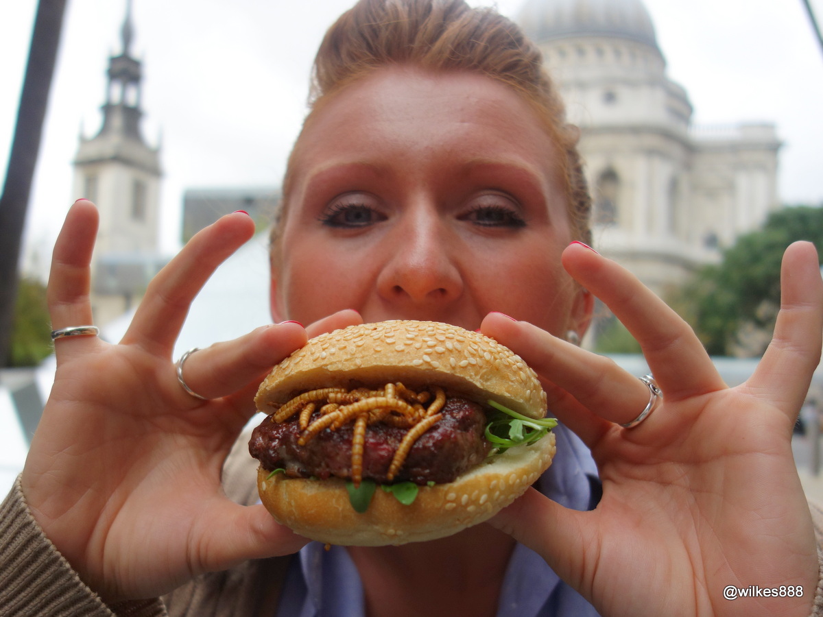 rentokil-pestaurant-36.jpg
