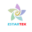 www.estartek.com