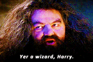 Resultado de imagen para ur a wizard harry gif