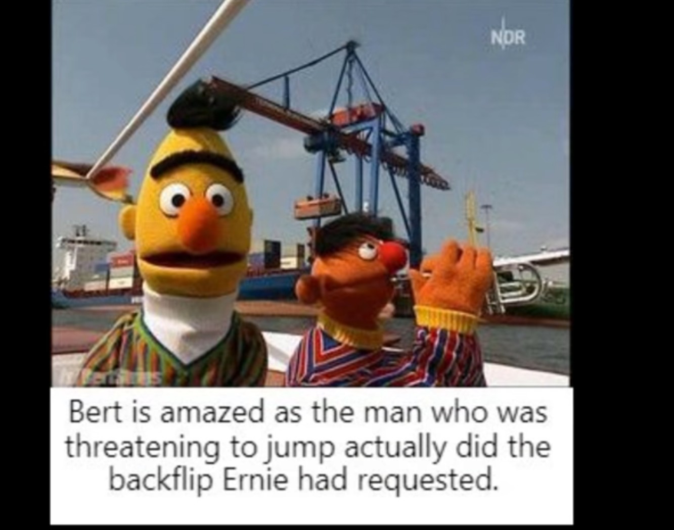 5ce608dd5787b.jpeg
