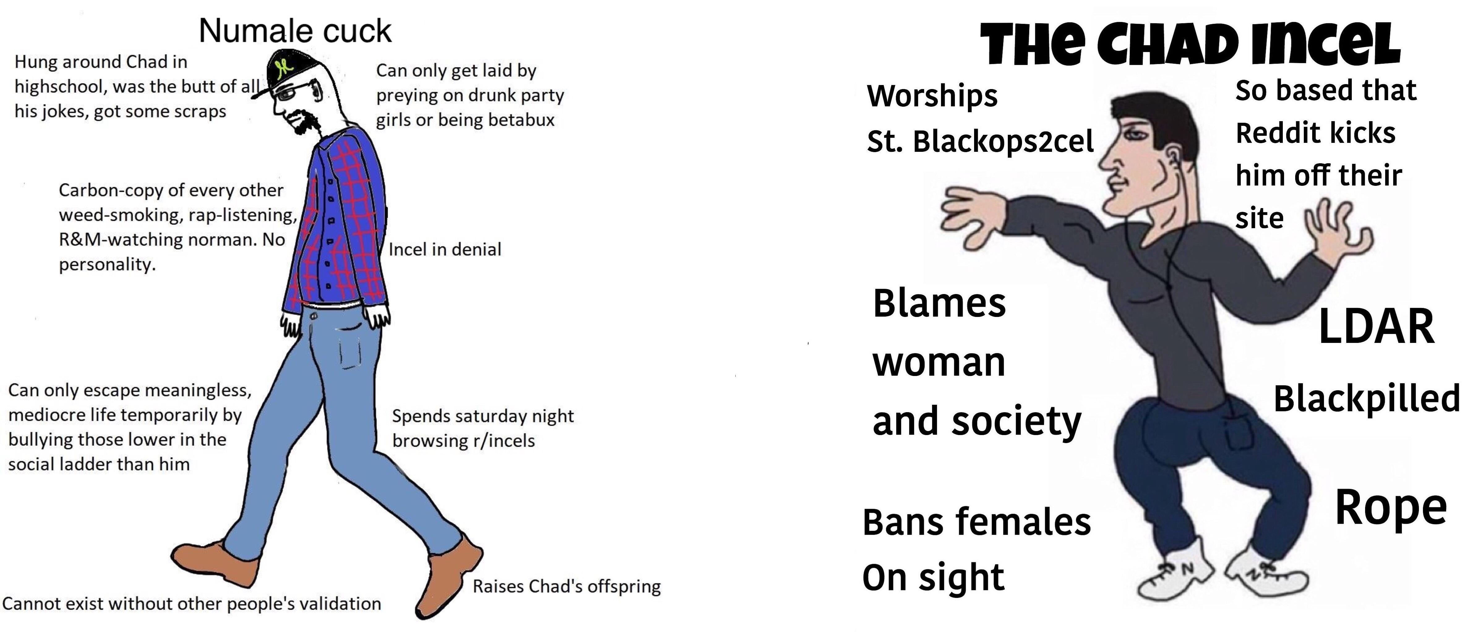 Numale Cuck vs The Chad Incel | Involuntary Celibacy / Incel | Know Your  Meme