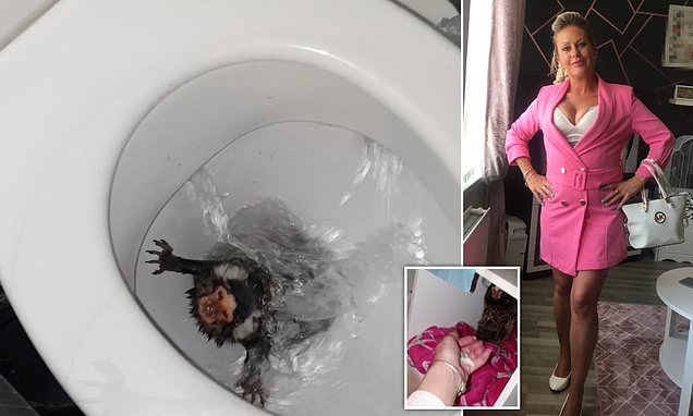 www.dailymail.co.uk