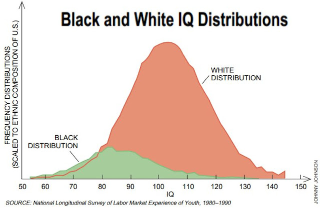 iq5.jpg