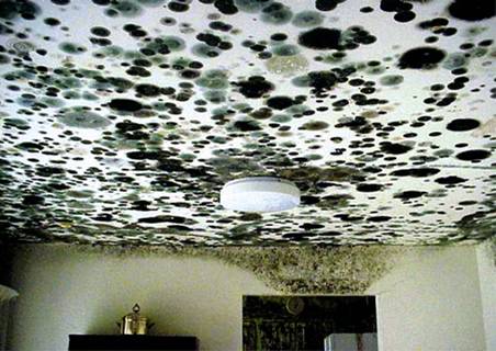 mold-on-the-ceiling.jpg